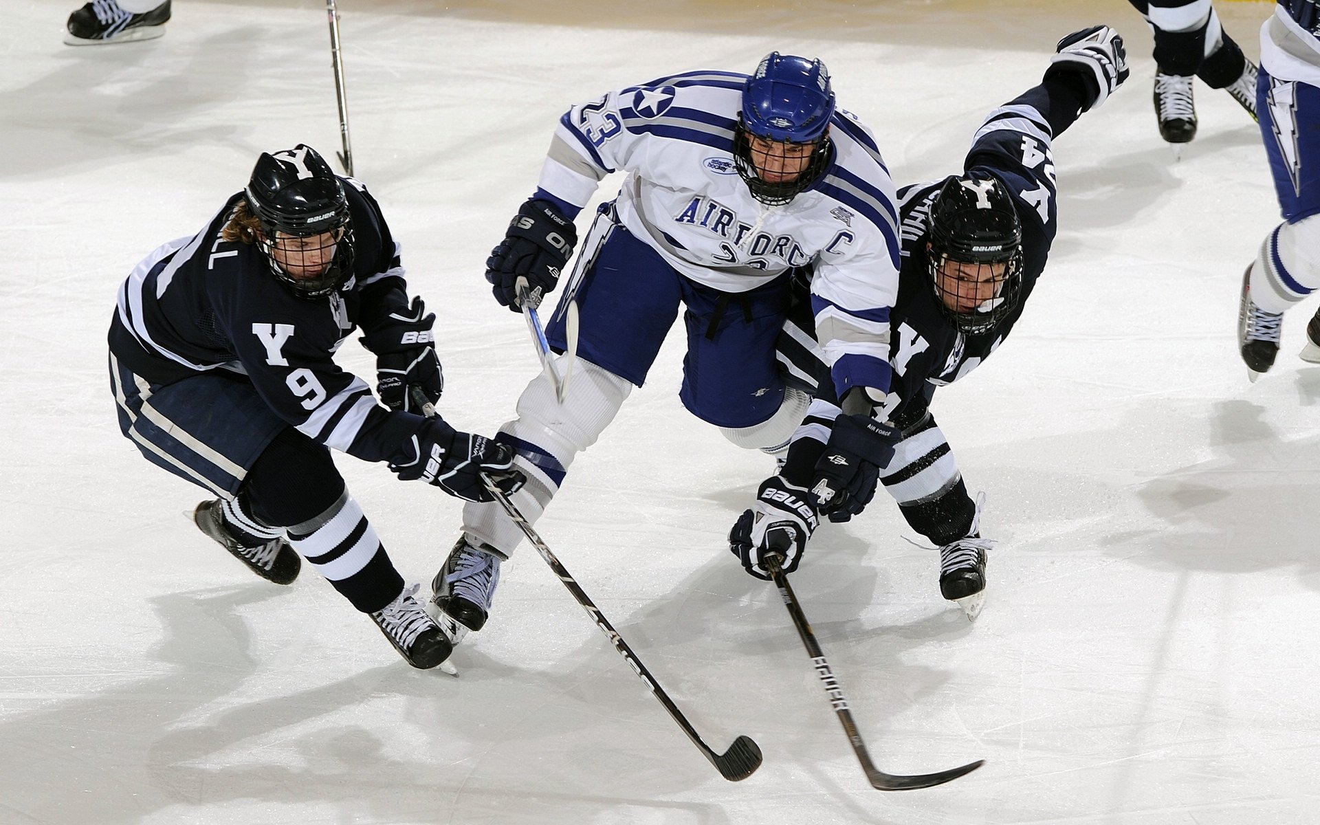 绝境铸魂！杜锋含泪承诺战斗到底 球迷呐喊，我们永远与球队并肩